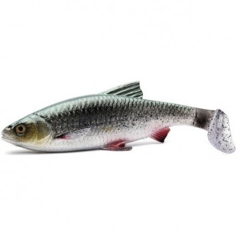 Приманка SAVAGE GEAR 3D River Roach 12см 17г Green Silver 40PCS BULK Приманка SAVAGE GEAR 3D River Roach 12см 17г Green Silver 40PCS BULK